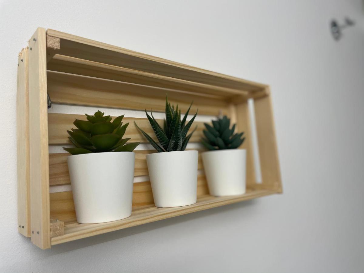 S_Apartamento サロウ エクステリア 写真